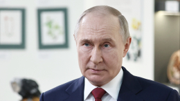 Западные СМИ обсуждают прошедшие телефонные переговоры Путина и Трампа