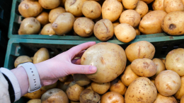 Картошка подешевеет: когда ждать снижения цен и насколько упадет стоимость