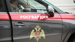 Опубликовано видео задержания подозреваемых в ограблении курьера в Москва-Сити