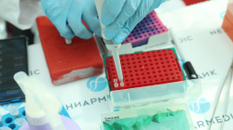 Все чисто: пляжи Крыма и Севастополя безопасны для отдыха