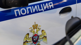 «Скрывается под толщей льда»: собака принесла домой голову человека в Башкирии