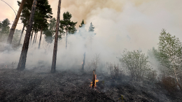 Дожди не помогли: в Забайкалье усиливают борьбу с природными пожарами