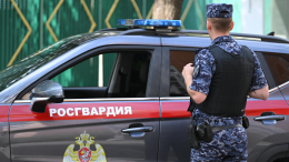 Жил на балконе и ел хлеб: в Краснодаре обнаружили ребенка-маугли