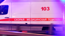 Три человека погибли из-за обрушения моста на поезд в Брянской области