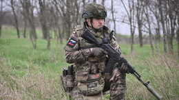 Российские военные освободили населенный пункт Редкодуб в ДНР