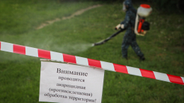 Более трех миллионов россиян привились от энцефалита