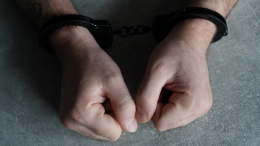 Сеть по легализации незаконных мигрантов выявили в Подмосковье