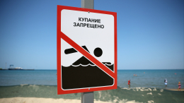 «Ситуация напряженная»: глава Росприроднадзора о пляжах Анапы