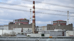 Балицкий: в МАГАТЭ не хотят признавать киевский режим как угрозу для ЗАЭС