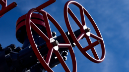 Додон: на молдавскую экономику негативно влияет отказ от российского газа