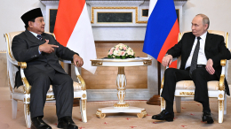 Владимир Путин встретился с президентом Индонезии