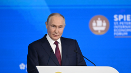 Прямая трансляция выступления Владимира Путина на ПМЭФ-2025