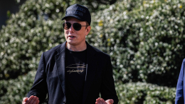 Песков прокомментировал информацию о политическом убежище для Маска