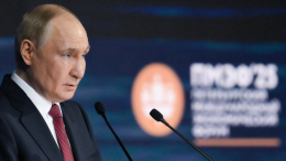 Путин начал выступление на ПМЭФ с обозначения ключевых мировых проблем