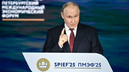 Путин призвал выработать нормативную базу по оспариванию приватизационных сделок