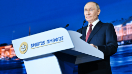 Путин о СВО, ядерной войне и конфликте Израиля с Ираном: главные заявления с пленарного заседания ПМЭФ-2025