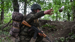 ВС РФ освободили населенные пункты Петровское в Харьковской области и Перебудова в ДНР