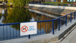 В Краснодарском крае запретили посещение общественных мест с собаками