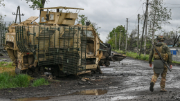 Российская армия освободила Дылеевку в ДНР