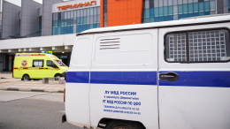 Остается на ИВЛ: омбудсмен рассказала о состоянии пострадавшего в Шереметьево мальчика
