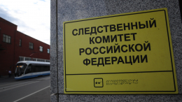 В Москве возбудили уголовное дело в отношении блогера Алекса Лесли