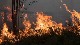 Пожар в забайкальской Атамановке тушат почти неделю