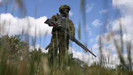 Российские военные освободили Новосергеевку и Шевченко в ДНР