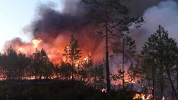 Самый крупный лесной пожар в Забайкалье удалось взять под контроль