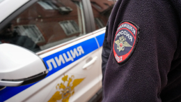 На Камчатке мужчина застрелил своего зятя в ходе незаконной охоты
