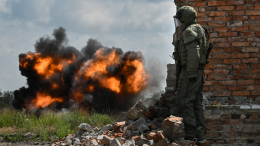 ВС РФ освободили населенный пункт Новоукраинка в ДНР