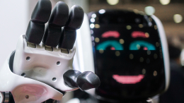 «Мы уникальные»: глава ВЦИОМ рассказал, боятся ли россияне восстания роботов