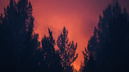 Около 50 тысяч человек эвакуировали из-за пожаров в Турции