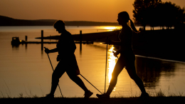 Движение — это жизнь или риск для здоровья? Правда о пользе и вреде ходьбы