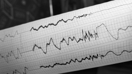 У берегов Японии произошло землетрясение магнитудой 5,1