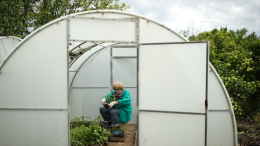 Застой гнили: как правильно проветривать теплицу для спасения растений