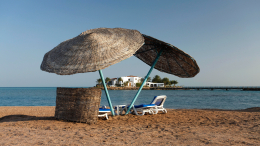 Экзотический отдых: россияне массово выбирают туристические направления в Африку