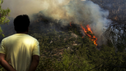 Полиция арестовала одного из виновных в лесных пожарах в Турции