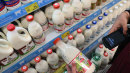 В Петербурге создали приложение для проверки качества молочных продуктов