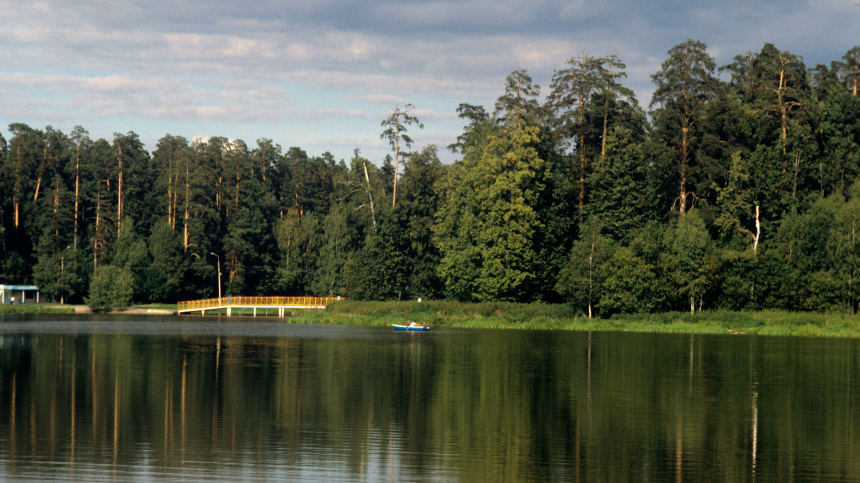 В национальном парке «Лосиный Остров» проводят уникальное исследование