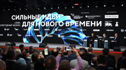 Путин: в РФ удалось создать уникальный механизм развития отраслей промышленности