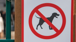 В Краснодарском крае запретили посещать общественные места с собаками