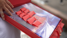 Алый парус связал музейные резиденции на Балтике узами дружбы