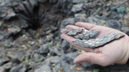 Четыре человека погибли в результате удара ВСУ по Донецку