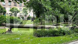 Во время шторма в Санкт-Петербурге пострадали пять человек