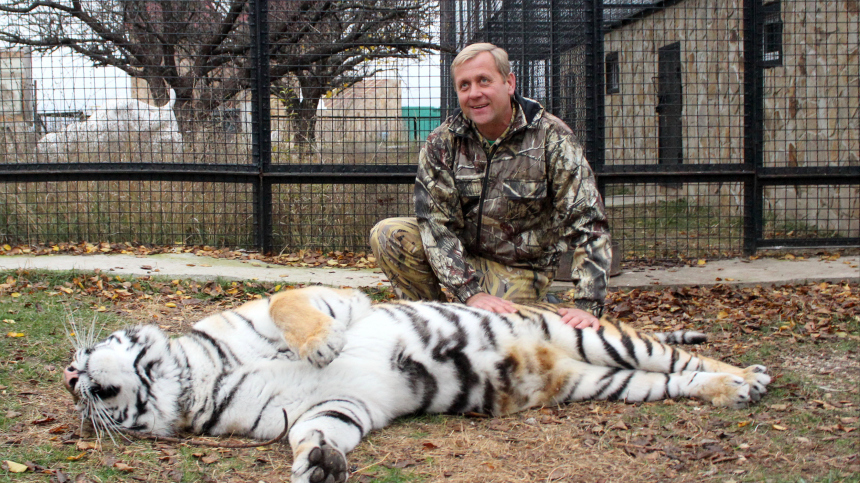 «Ходить ко львам»: Олег Зубков намерен продолжать работу с хищниками