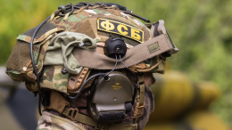 ФСБ задержала четырех человек за поджоги и повреждения опор ЛЭП