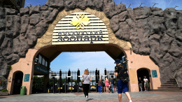 За полгода у обитателей Московского зоопарка появились на свет почти 200 детенышей