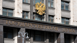 «Максимально поддерживаем»: в Госдуме оценили идею возродить «закон о тунеядстве»