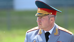 Глава МЧС РФ Куренков встретился с азербайджанским коллегой