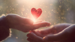 «Столото» объявил победителей первого этапа конкурса грантов для НКО